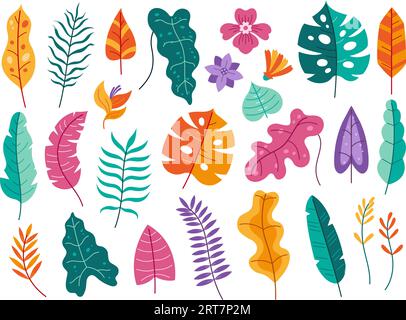 Eléments de la flore tropicale. Feuilles et fleurs de plantes tropicales isolé ensemble d'illustrations vectorielles plates Illustration de Vecteur