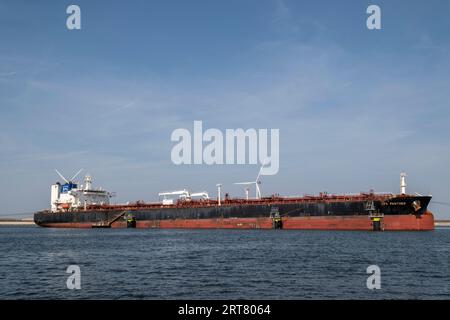 Grand navire-citerne de GNL dans un port par une journée claire d'été. Port de Rotterdam, pays-Bas. Banque D'Images