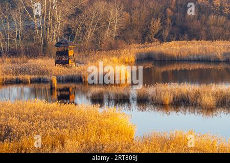 Lac d'hiver et roseau avec point de vue au coucher du soleil jaunâtre Banque D'Images