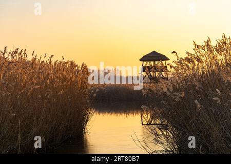 Lac d'hiver et roseau avec point de vue au coucher du soleil jaunâtre Banque D'Images