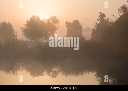 Lever du soleil sur un lac avec des arbres enveloppés dans la brume tôt le matin Banque D'Images