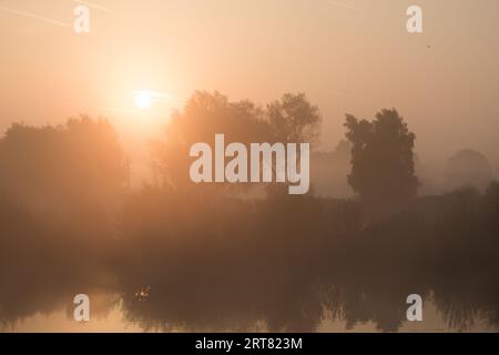 Lever du soleil sur un lac avec des arbres enveloppés dans la brume tôt le matin Banque D'Images