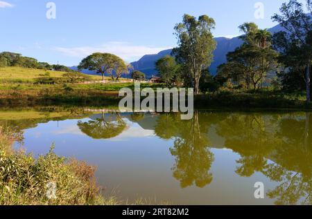 Arbres se reflétant dans un étang, Serra da Canastra, état de Minas Gerais, Brésil Banque D'Images