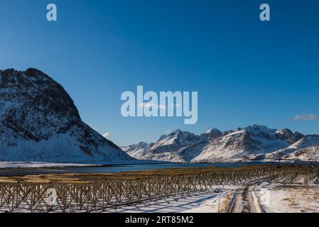 Casiers en bois vides géants pour suspendre et sécher la morue pour faire du stockfish sur les îles Lofoten en Norvège sur les montagnes enneigées claires de jour d'hiver et Banque D'Images