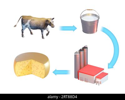 Du lait de vache à la production de fromage. Illustration numérique, rendu 3D. Banque D'Images