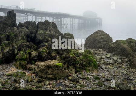 Les algues jonchent la côte rocheuse à Mumbles Pier dans la baie de Swansea, au sud du pays de Galles, Royaume-Uni Banque D'Images