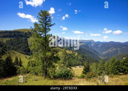 Niedergadenalm, Osterhorn Group, Salzkammergut, province de Salzbourg, Autriche Banque D'Images