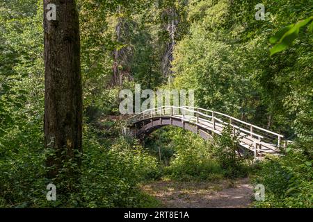 Brücke in der Wutachschlucht, Schwarzwald, Baden-Württemberg, Deutschland | Pont des gorges de Wutach, Forêt Noire, Bade-Württemberg, Allemagne Banque D'Images