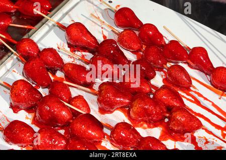 brochettes de grandes fraises rouges mûres caramélisées avec sucre sur le dessus pour la vente dans la caniculture Banque D'Images