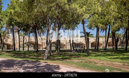 Vue panoramique du pont de Puente Del Mar à travers les bosquets des jardins de la Turia - ancien lit de la rivière - à Valence, Espagne le 25 août 2023 Banque D'Images