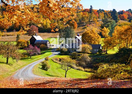 Feuilles d'automne tombées vibrantes avec grange en bois rustique dans la campagne près de Woodstock, Vermont, États-Unis Banque D'Images