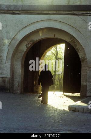 Bucarest, Roumanie, env. 2000. Vue sur la cathédrale patriarcale orthodoxe roumaine et le clocher sur la colline de Mitropoliei (Dealul Mitropoliei). Banque D'Images