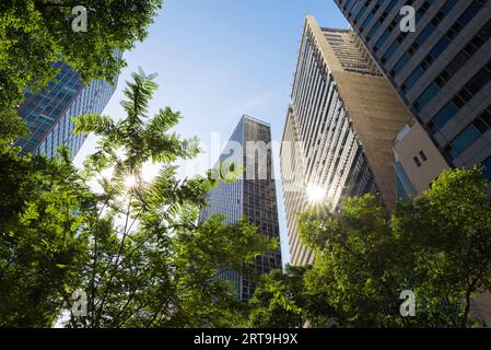 Immeubles de bureaux modernes avec arbres ci-dessous et reflet du soleil dans le centre-ville Banque D'Images