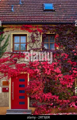 Trottoir le long des maisons et des voitures garées dans une zone urbaine avec des maisons privées de faible hauteur. Suburban House parmi les arbres d'automne. Grande pelouse bien entretenue et Banque D'Images