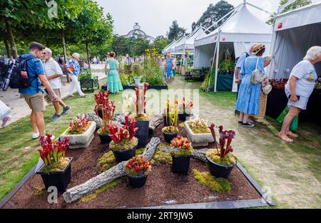 Étals et exposition de plants carnivores de cruche au RHS Wisley Flower Show soutenu par Stressless en septembre 2023, RHS Garden Wisley, Surrey Banque D'Images