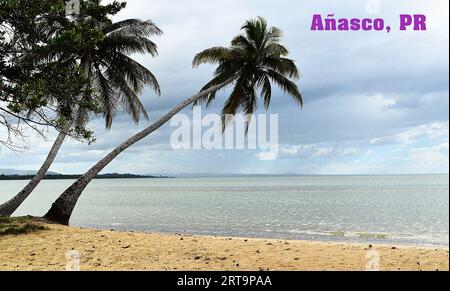 Profiter des belles plages de mon île Puerto Rico, l'île enchantée Puerto Rico, Añasco Banque D'Images