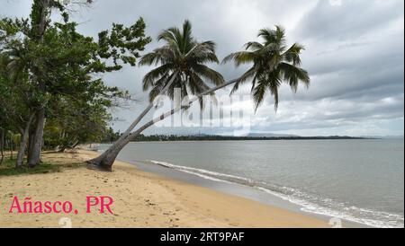 Profiter des belles plages de mon île Puerto Rico, l'île enchantée Puerto Rico, Añasco Banque D'Images