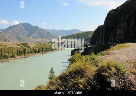 Un large lit d'une belle rivière turquoise coulant à travers une vallée de montagne par une journée d'été ensoleillée. Rivière Katun, Altaï, Sibérie, Russie. Banque D'Images