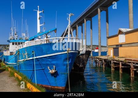 Quai de pêche commerciale, Tromso, Troms og Finnmark, Norvège Banque D'Images