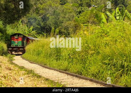 Prenez le train d'Ella à Kandy, au milieu de la jungle et des montagnes. Sri Lanka. Image d'arrière-plan avec espace de copie Banque D'Images