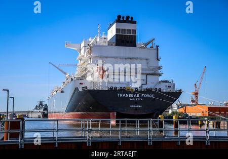 Bremerhaven, Allemagne. 05 septembre 2023. Le terminal méthanier Transgas Force est amarré à Kaiserhafen Drei sur le chantier naval Lloyd à Bremerhaven. Construit en 2021, le navire d’environ 300 mètres de long est une unité flottante de stockage et de regazéification (FSRU) et devrait être déployé au terminal GNL de Stade à partir de la fin de 2023. Avant cela, des travaux d'adaptation seront effectués par le chantier naval Lloyd. Crédit : Focke Strangmann/dpa/Alamy Live News Banque D'Images