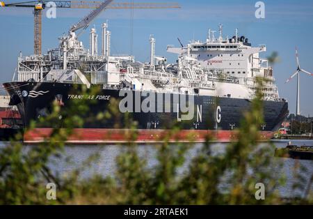 Bremerhaven, Allemagne. 05 septembre 2023. Le terminal méthanier Transgas Force est amarré à Kaiserhafen Drei sur le chantier naval Lloyd à Bremerhaven. Construit en 2021, le navire d’environ 300 mètres de long est une unité flottante de stockage et de regazéification (FSRU) et devrait être déployé au terminal GNL de Stade à partir de la fin de 2023. Avant cela, des travaux d'adaptation seront effectués par le chantier naval Lloyd. Crédit : Focke Strangmann/dpa/Alamy Live News Banque D'Images