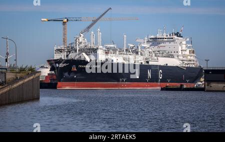 Bremerhaven, Allemagne. 05 septembre 2023. Le terminal méthanier Transgas Force est amarré à Kaiserhafen Drei sur le chantier naval Lloyd à Bremerhaven. Construit en 2021, le navire d’environ 300 mètres de long est une unité flottante de stockage et de regazéification (FSRU) et devrait être déployé au terminal GNL de Stade à partir de la fin de 2023. Avant cela, des travaux d'adaptation seront effectués par le chantier naval Lloyd. Crédit : Focke Strangmann/dpa/Alamy Live News Banque D'Images