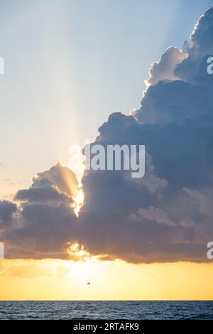 Un pélican de Floride se profilait contre le soleil levant à South Ponte Vedra Beach, en Floride. (ÉTATS-UNIS) Banque D'Images