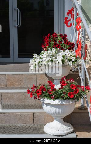 pétunias blanches et rouges dans des jardinières blanches dans les rues de la ville. Décorer l'entrée du magasin. Pots avec des fleurs sur les escaliers. Banque D'Images