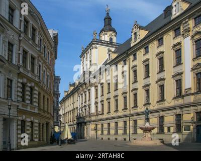 Université de Wroclaw, Wroclaw, Pologne Banque D'Images