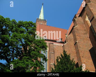 Collégiale de la Sainte Croix et Saint Bartholomew, Wroclaw, Pologne Banque D'Images