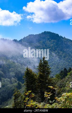 Great Smoky Mountains Banque D'Images