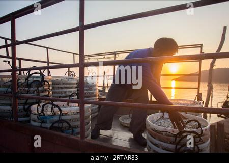 Koh Yao, Thaïlande ; 1 janvier 2023 : les pêcheurs déchargent les prises de la journée d'un bateau dans le port de Koh Yao au coucher du soleil. Banque D'Images