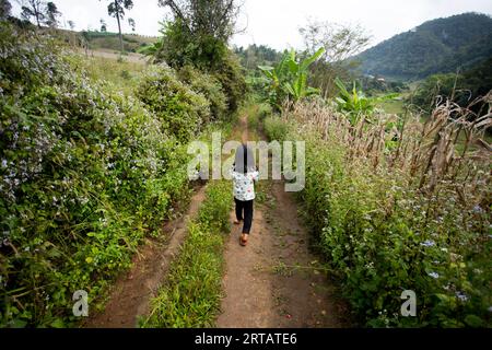 Chiang Rai, Thaïlande ; 1 janvier 2023 : une fille visitant une tribu indigène des hautes terres dans le district de Chiang Rai. Banque D'Images