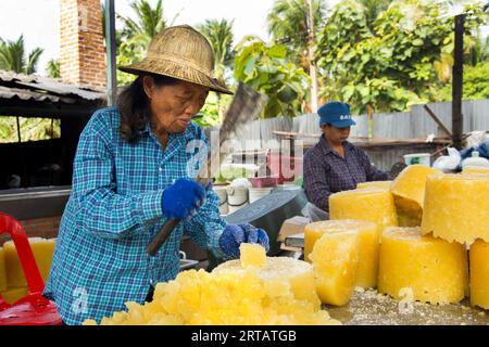 Samut Songkhram, Thaïlande ; 1 janvier 2023 : personnes travaillant sur une plantation de noix de coco biologique en Thaïlande produisant du sucre. Banque D'Images