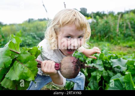 Délice de récolte d'automne : fille souriante avec une poignée de betteraves fraîchement tirées Banque D'Images