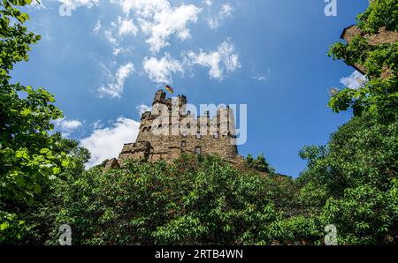 Château de Sooneck, vue panoramique du jardin au château central, Niederheimbach, Vallée du Rhin moyen supérieur, Rhénanie-Palatinat, Allemagne Banque D'Images