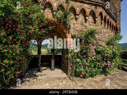 Château de Sooneck, enceinte extérieure avec des roses et des fenêtres cintrées, Niederheimbach, vallée du Rhin moyen supérieur, Rhénanie-Palatinat, Allemagne Banque D'Images