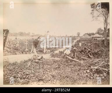 Le colonialisme européen en Indonésie, 1900, 1890, vue d'une plantation avec des arbres tombés avec des travailleurs contractuels javanais, probablement à Langkat, Sumatra Banque D'Images