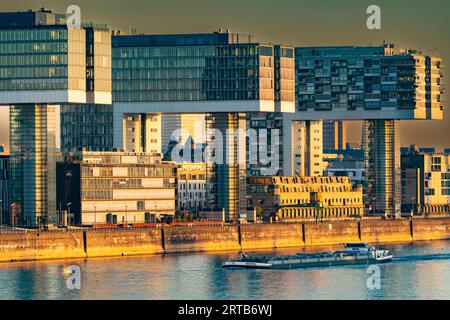 Maisons de grues dans le Rheinauhafen, vues à travers le Rhin depuis le pont sud, Cologne, Rhénanie du Nord-Westphalie, Allemagne, Europe Banque D'Images