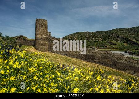 Mur de la ville et tour de défense sur le Michelfeld avec une vue sur les toits de la ville à la vallée du Rhin, Oberwesel, Haut Moyen Rhin vallée, Rhinel Banque D'Images