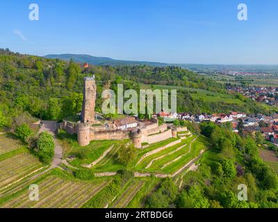 Ruines de Wachtenburg à Wachenheim près de Bad Dürkheim, Haardt, route des vins du Sud, Wachenheim an der Weinstrasse, route des vins allemands, Forêt du Palatinat, R Banque D'Images