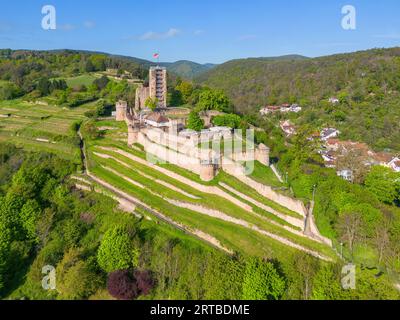 Ruines de Wachtenburg à Wachenheim près de Bad Dürkheim, Haardt, route des vins du Sud, Wachenheim an der Weinstrasse, route des vins allemands, Forêt du Palatinat, R Banque D'Images