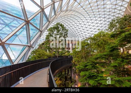 The Orchard, jardin tropical intérieur de l'aéroport de Doha à l'aéroport international de Doha Hamad, Qatar Banque D'Images