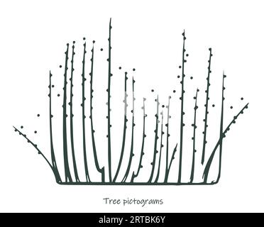 Tirez des pictogrammes d'arbre dessinés à l'encre à la main. Croquis de plantes. Isolé sur fond blanc. Illustration vectorielle. Illustration de Vecteur