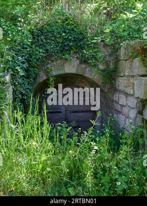 Ancienne cave à vin sur l'Ebelsberg, commune d'Ebelsbach, parc naturel de Haßberge, district de Haßberge, Basse-Franconie, Franconie, Bavière, Allemagne Banque D'Images