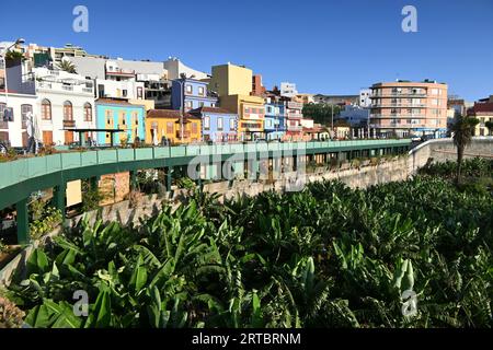 Champ de bananes au milieu de Tazacorte, côte ouest, la Palma, îles Canaries, Espagne Banque D'Images