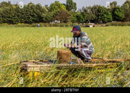 HAWASSA, ETHIOPIE - 26 JANVIER 2020 : pêcheur au lac Awassa, Ethiopie Banque D'Images