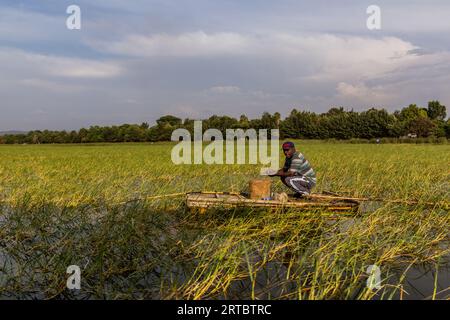 HAWASSA, ETHIOPIE - 26 JANVIER 2020 : pêcheur au lac Awassa, Ethiopie Banque D'Images