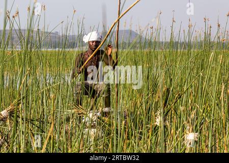 HAWASSA, ETHIOPIE - 26 JANVIER 2020 : pêcheur au lac Awassa, Ethiopie Banque D'Images